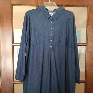 Old Navy Long sleeved denim dress